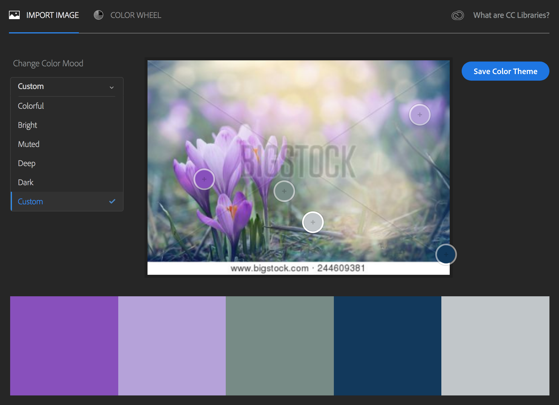 Adobe Color Selector color palette based on stock image